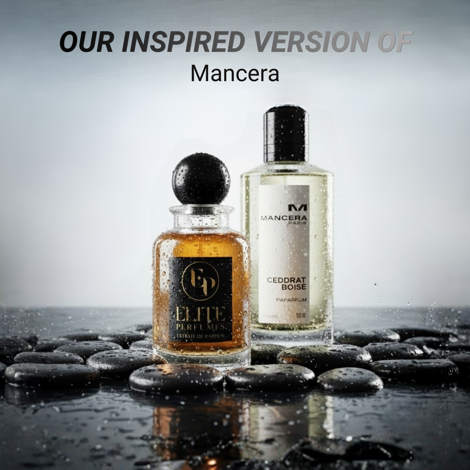 Elite EP187 (Inspired by Mancera PARIS)